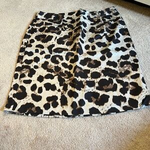 Banana Republic Skirt (14)